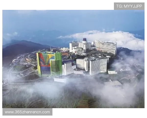 云顶有几个赌场啊关于云顶赌场数量的全面解析云顶赌场的数量变化趋势及未来发展前景云顶目前拥有的赌场总数及其分布情况详解