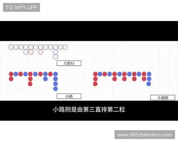 百家乐下三路的走势变化规律及其在实际游戏中的应用策略 百家乐下三路的走势变化规律及其在实际游戏中的应用策略