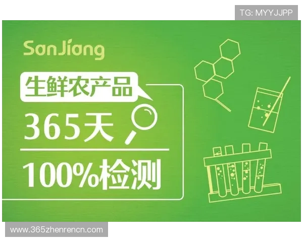 如何快速找到365真人官方地址，确保每次登录都安全顺畅的实用技巧